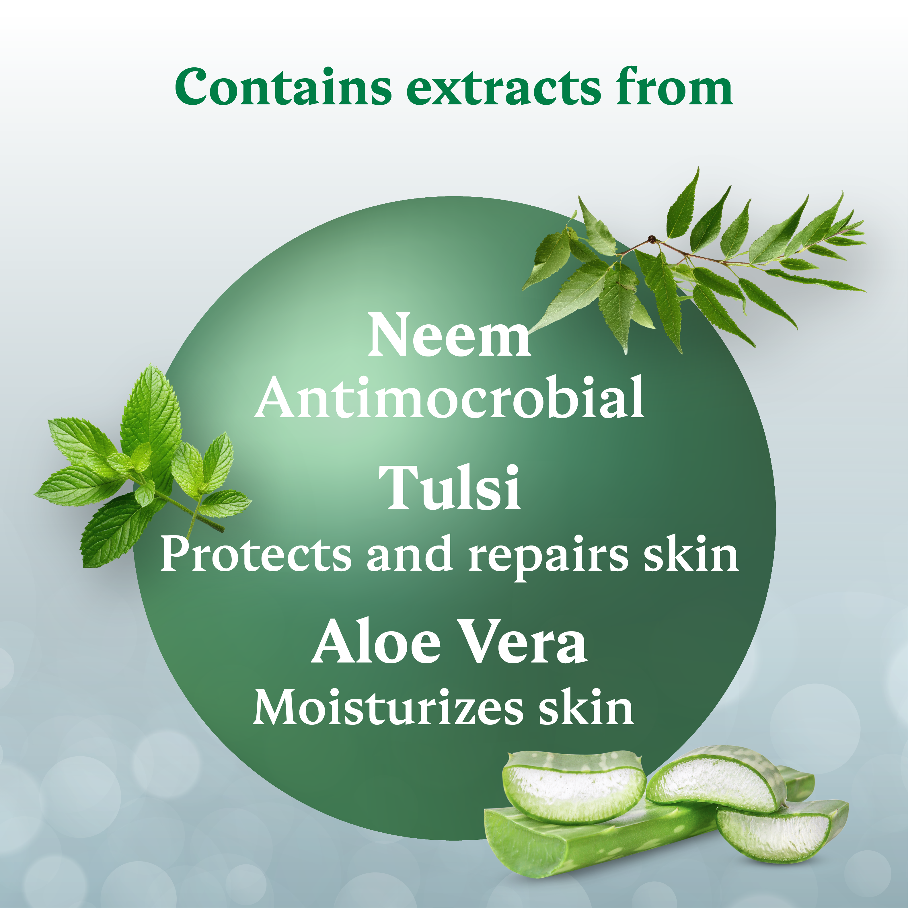 Daily Fresh Gentle Face Wash - Neem & Tulsi